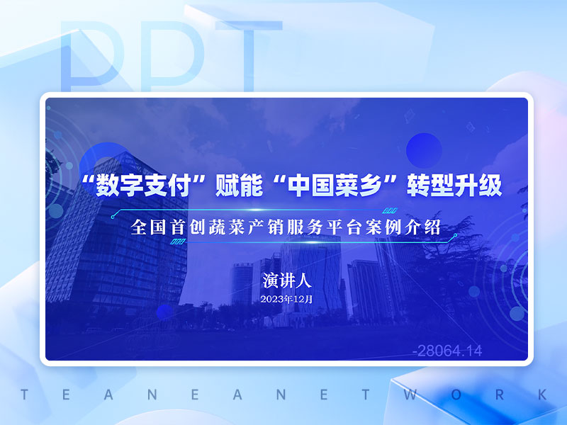 數(shù)字支付藍(lán)色科技感工作匯報(bào)PPT