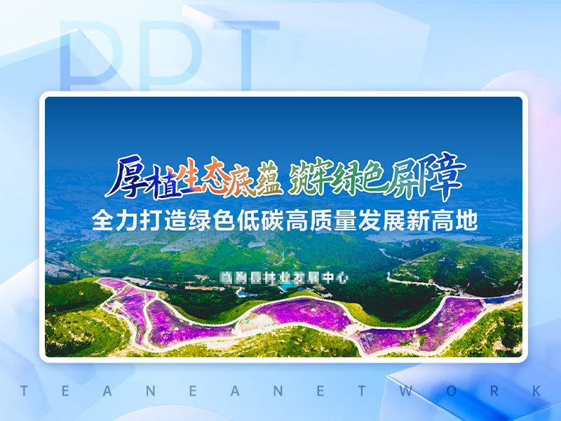 全力打造綠色低碳高質量發(fā)展新高地